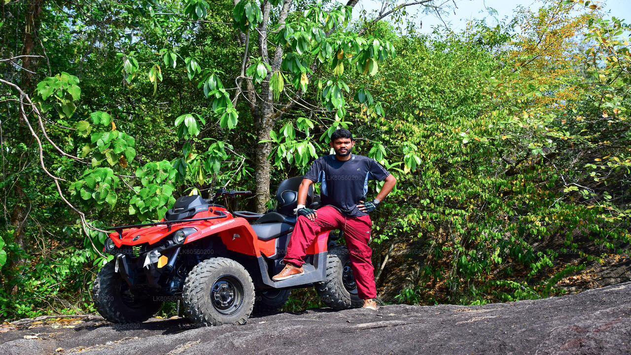 Activities from Gampaha