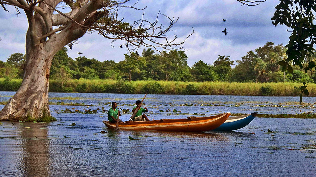 Activities from Habarana