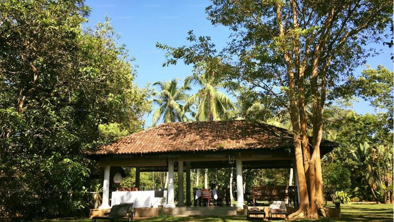 Nisala Arana Boutique Villa, Bentota