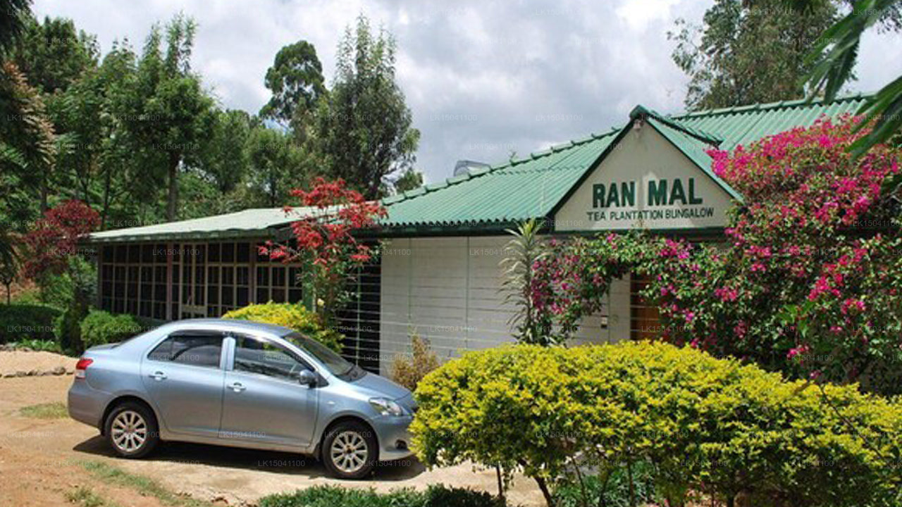 Ranmal Tea Plantation Bungalow, Bandarawela