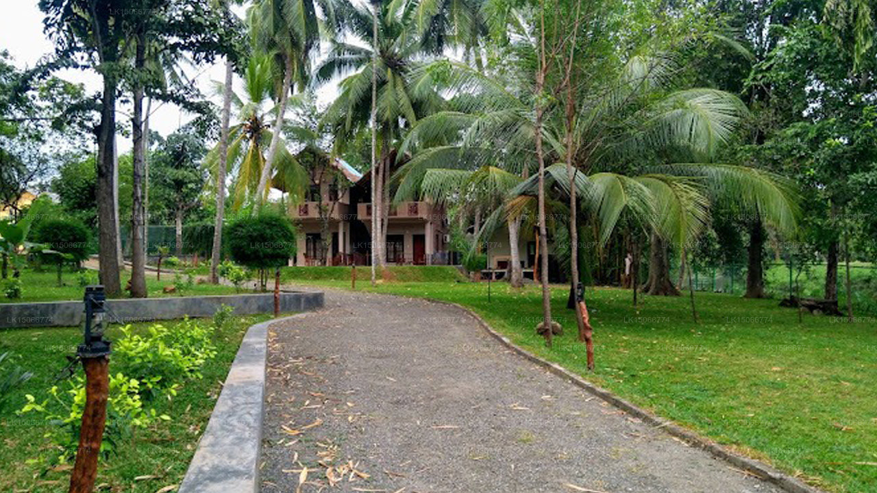 Pelican Lake, Udawalawe