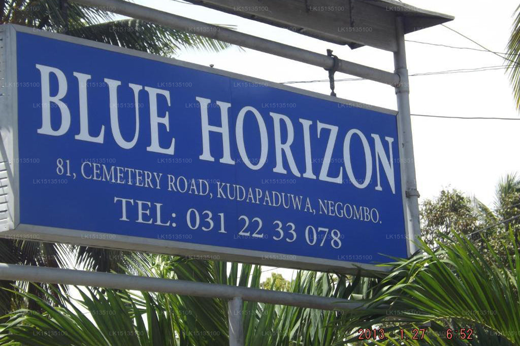 Blue Horizon Pensjonat, Negombo