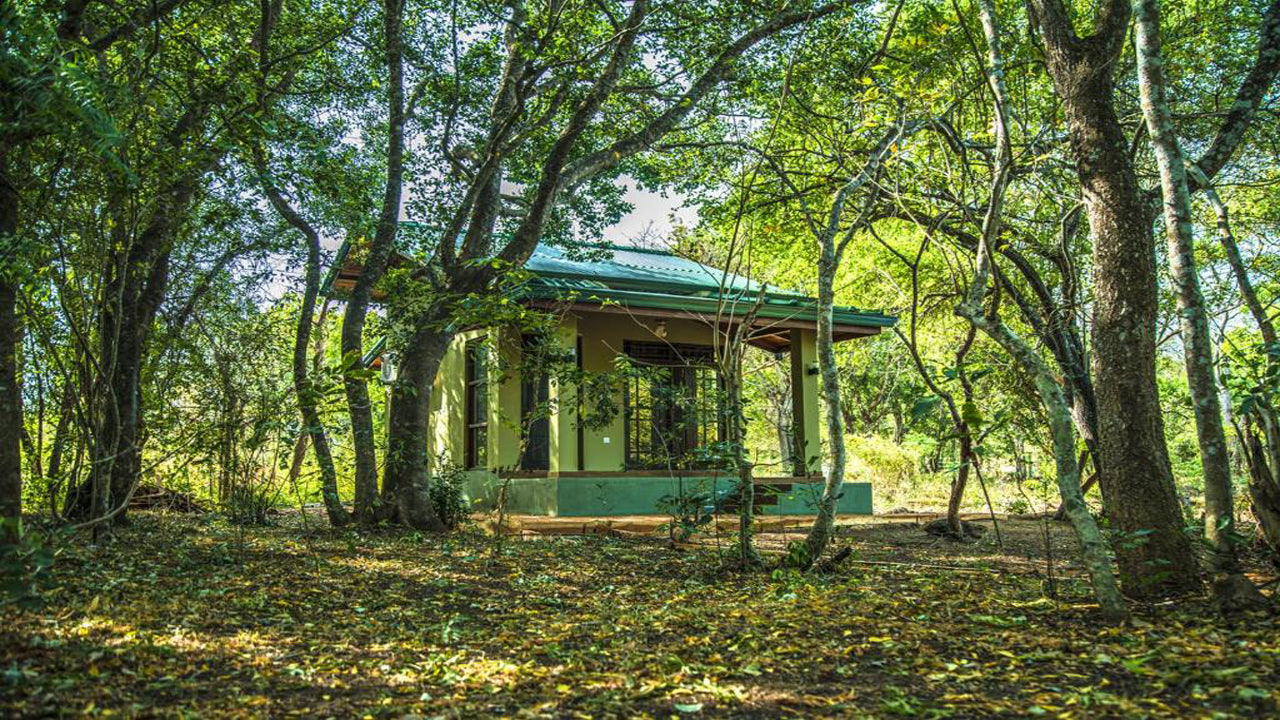 Wadula Safari - Yala, Kataragama