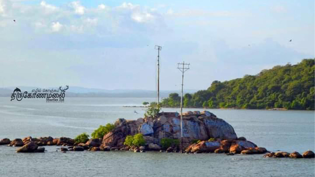 Dom na plaży Uppuveli, Trincomalee