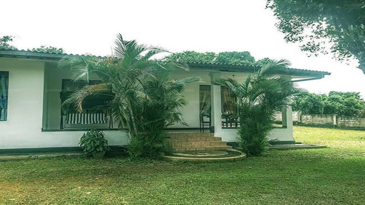 Green Grass Hostel, Kandy