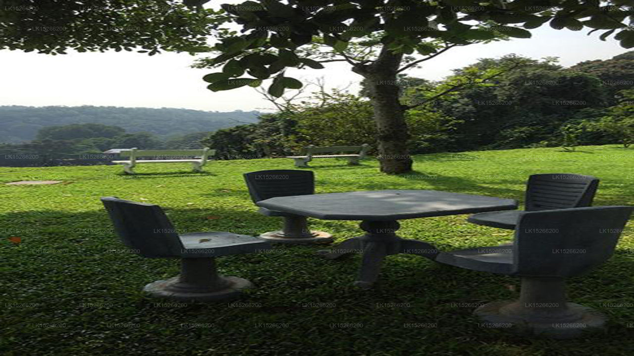 Green Grass Hostel, Kandy