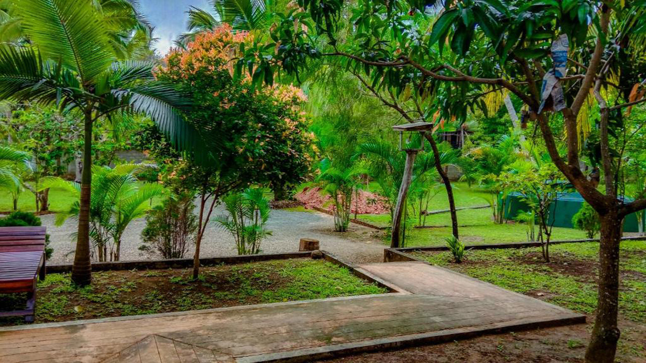 Pride Rock Villa & Tree House, Sigiriya