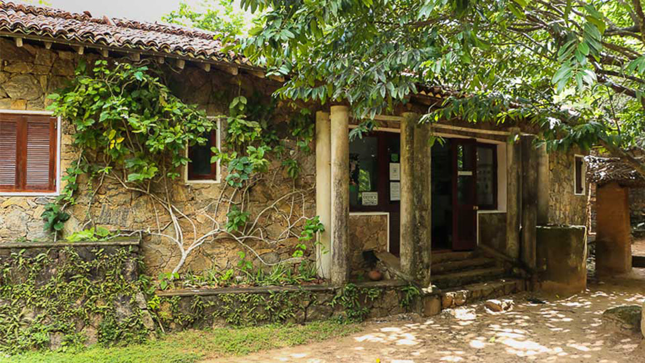 Arboretum Pophama, Dambulla