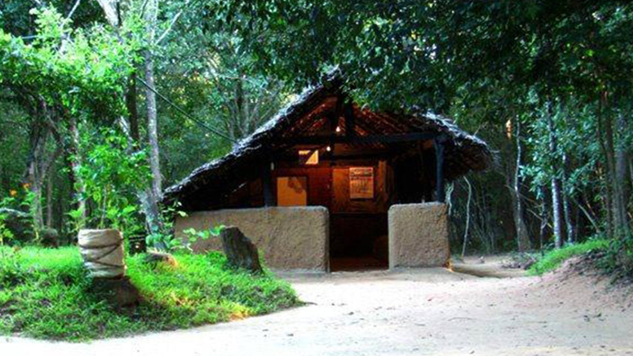 Arboretum Pophama, Dambulla