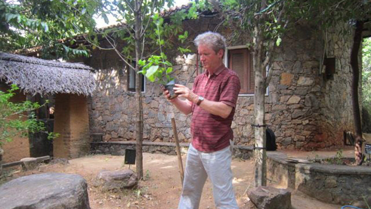 Arboretum Pophama, Dambulla