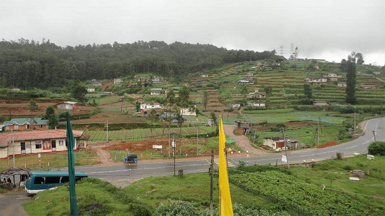 Monrose Hotel, Nuwara Eliya