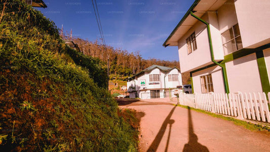 Aruna Resort, Nuwara Eliya City