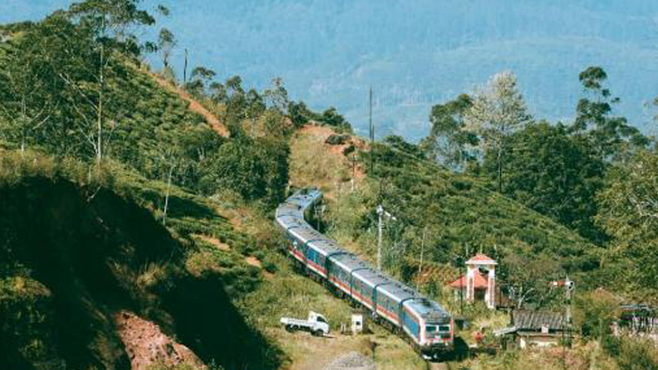 The Train View