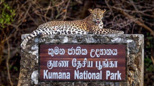 Prywatne safari w Parku Narodowym Kumana