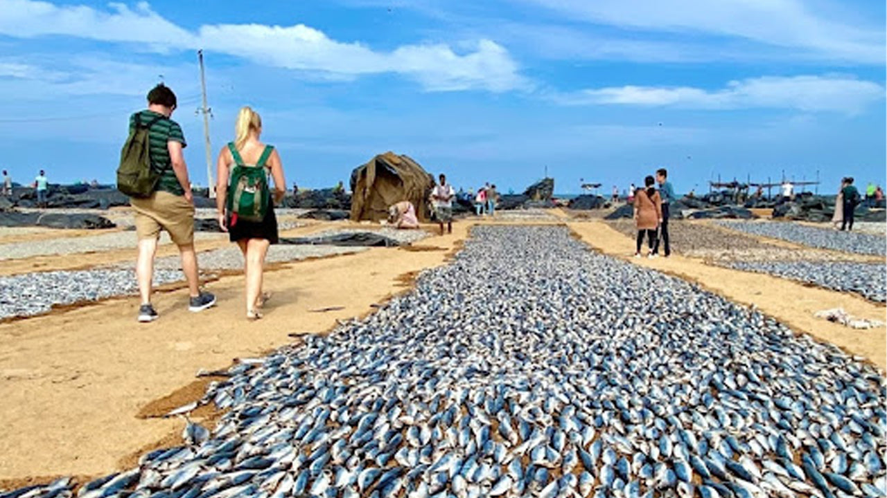 Wycieczka po mieście Negombo z Kolombo