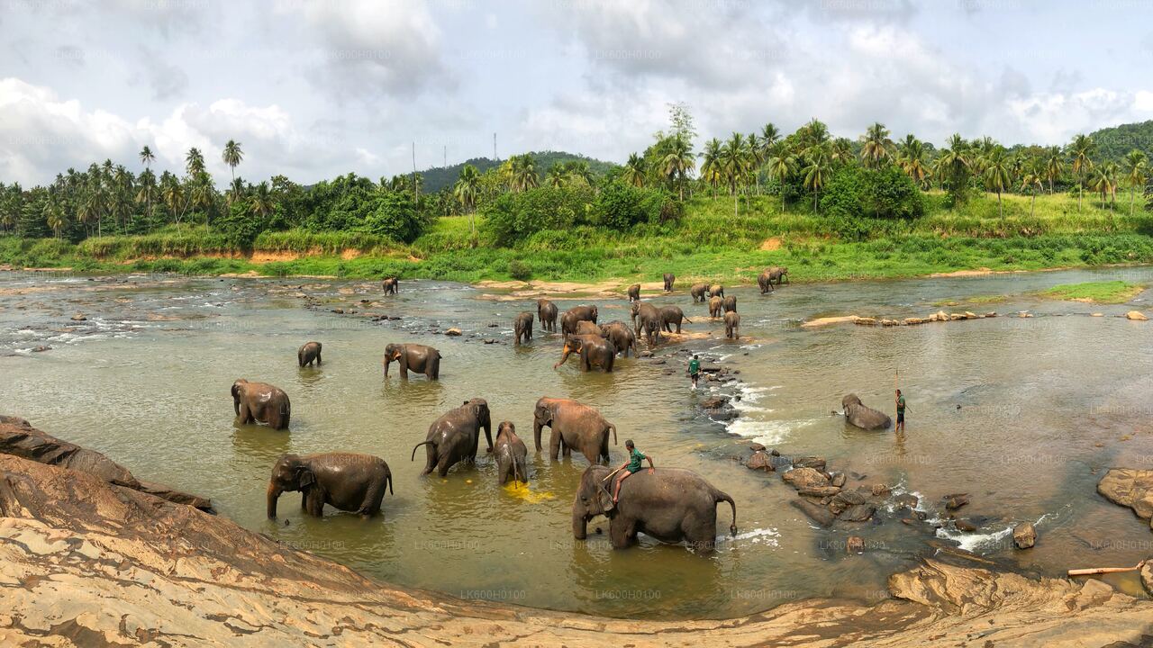 Kandy City Tour from Kitulgala