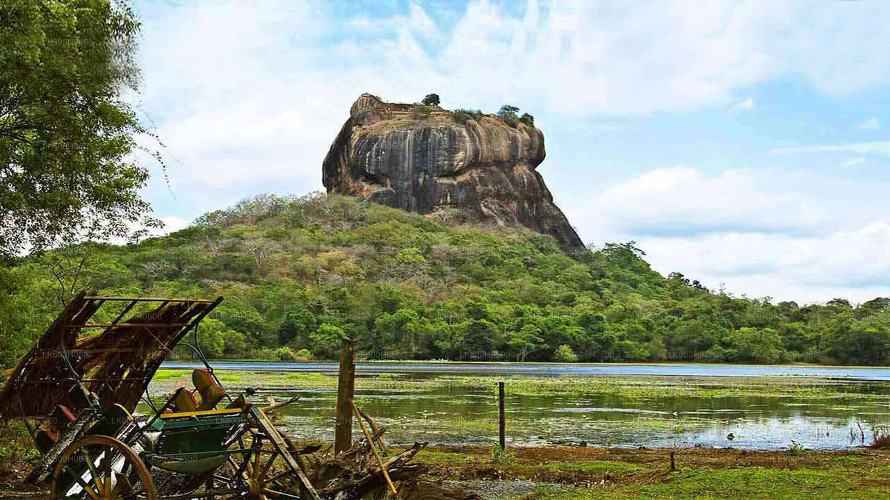 Sigiriya i Dambulla z Kitulgala