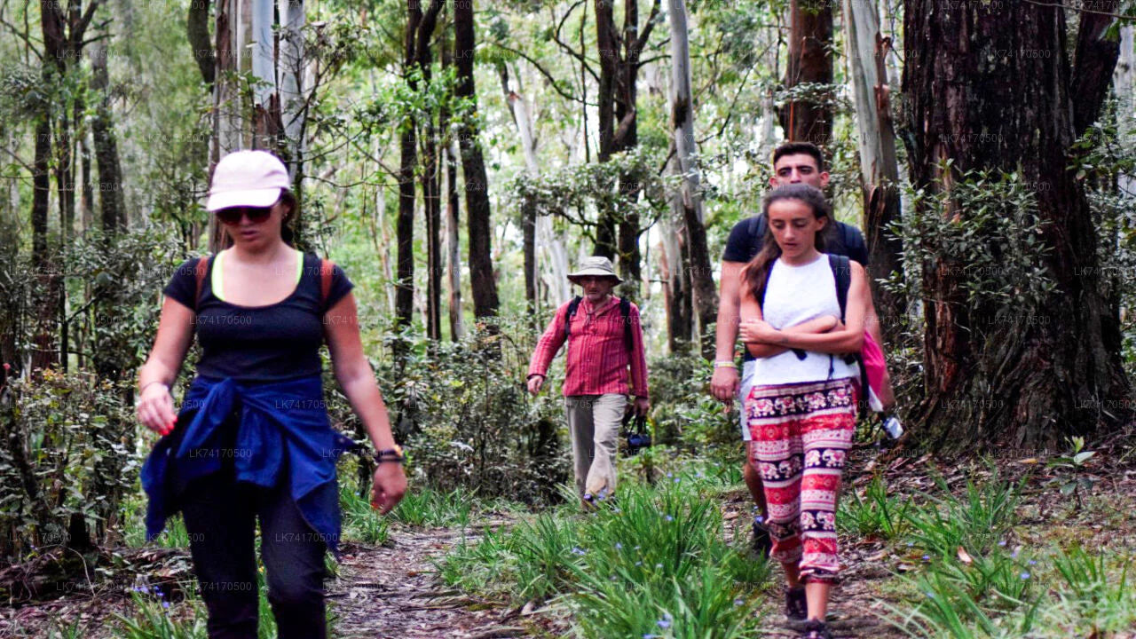 Trekking do wioski Heeloya z Kandy