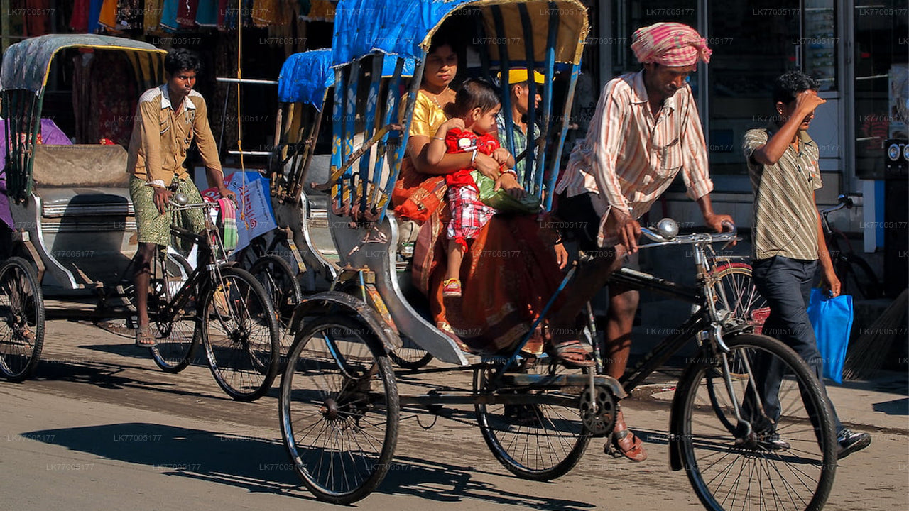 Sightseeing Rickshaw Tour From Galle