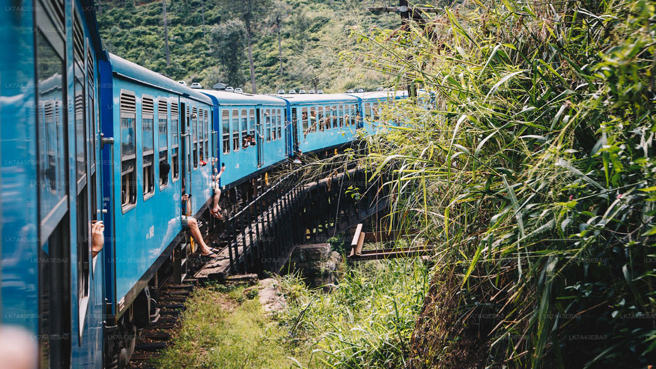 Rezerwacja biletów kolejowych z Kandy do Elli, Nanu Oya i Badulla