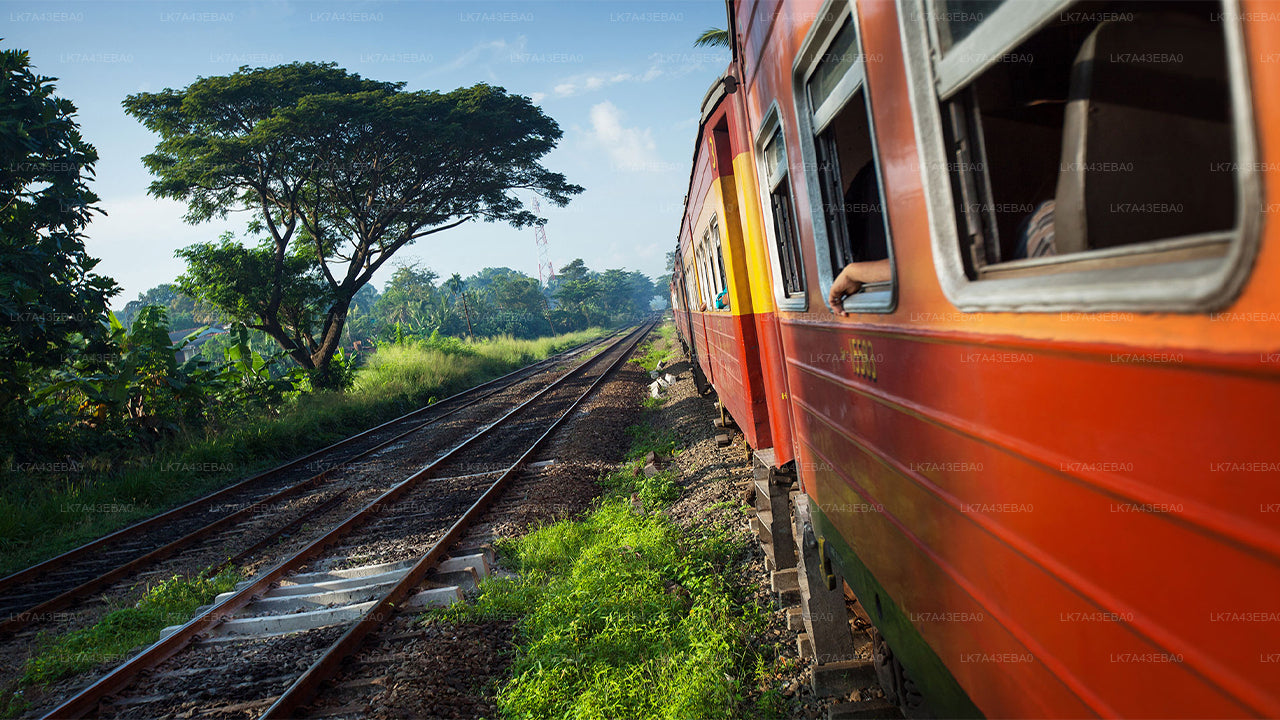 Rezerwacja biletów kolejowych z Kandy do Elli, Nanu Oya i Badulla