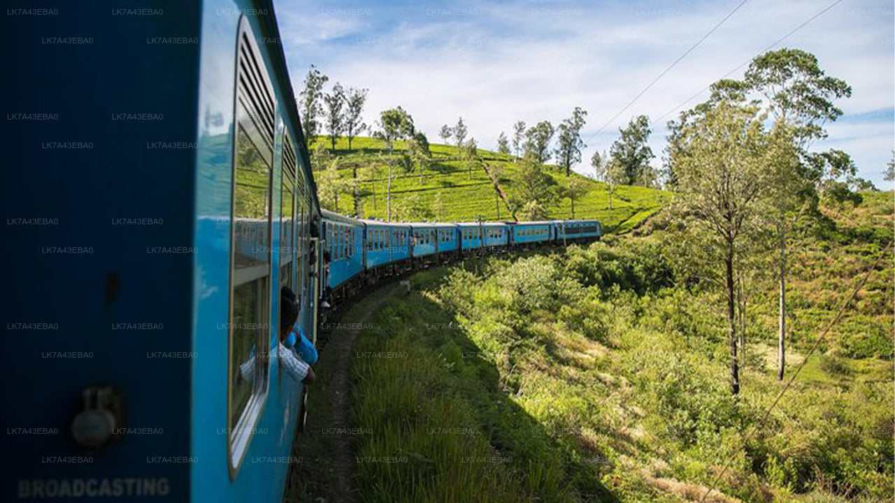 Rezerwacja biletów kolejowych z Kandy do Elli, Nanu Oya i Badulla