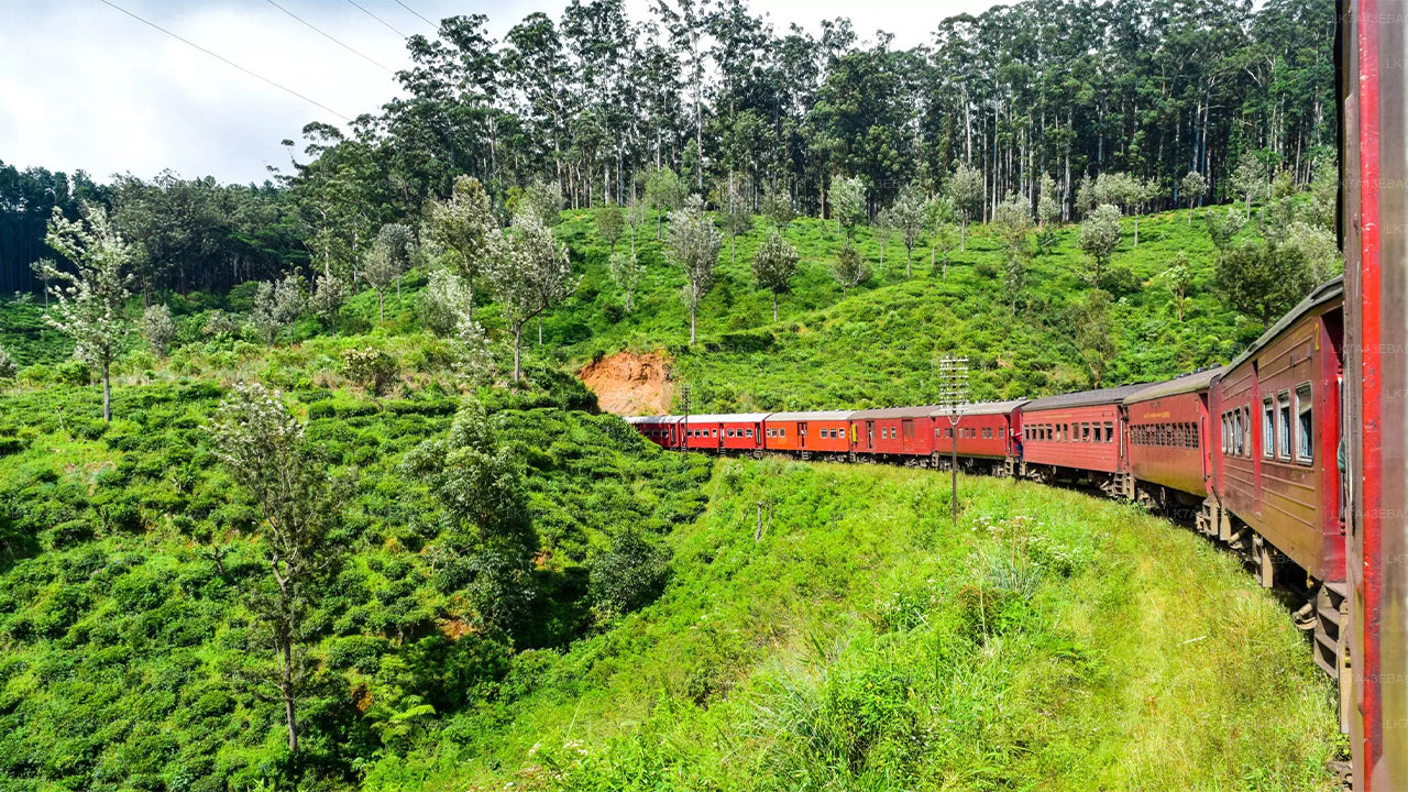 Rezerwacja biletów kolejowych z Kandy do Elli, Nanu Oya i Badulla