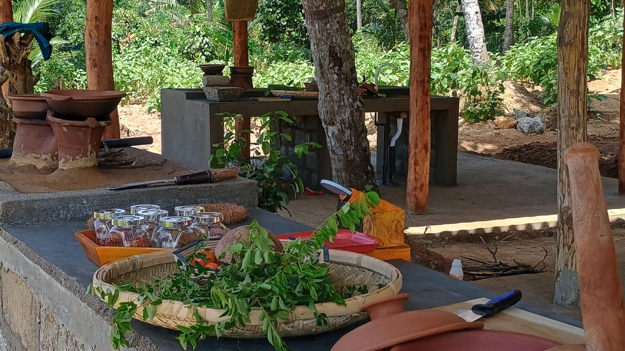 Odkryj bioróżnorodność w Midigama Fruit Farm