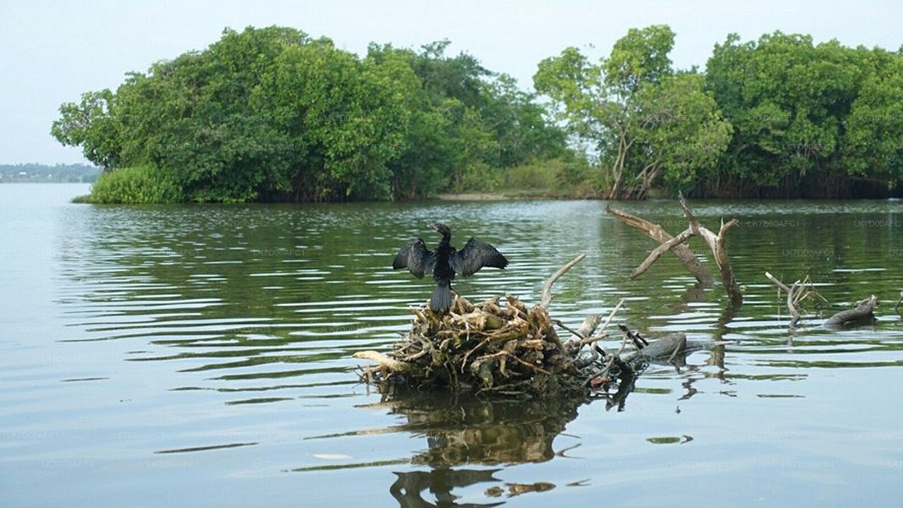 Pottuvil Lagoon Tour