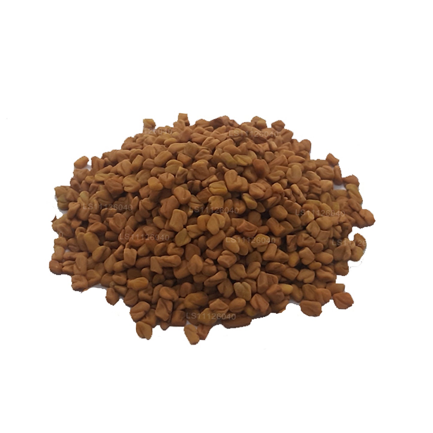 Lakpura Fenugreek seeds Whole