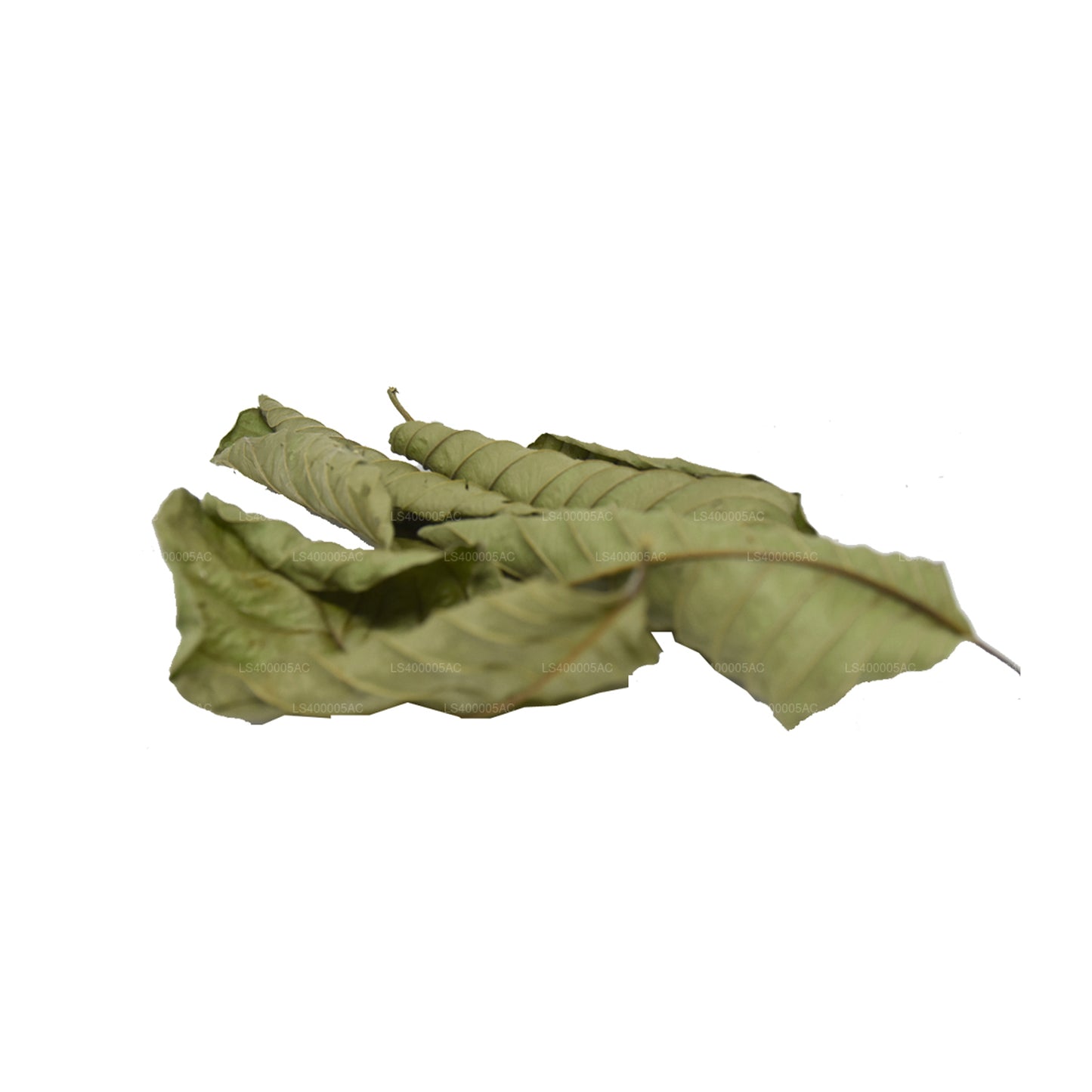 Odwodnione liście guawy Lakpura