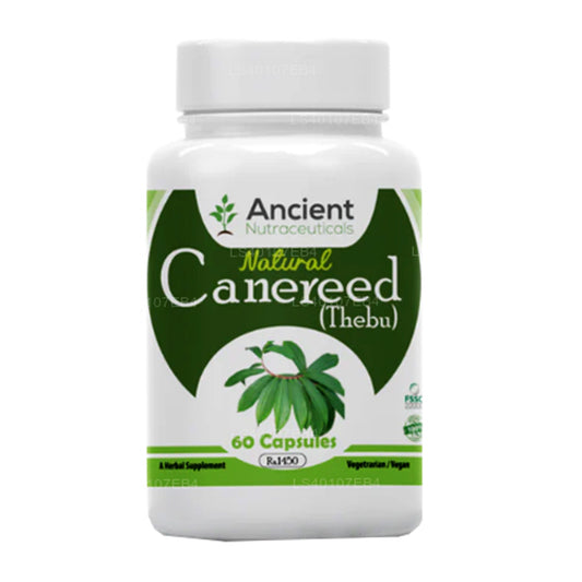 Starożytna Nutra Thebu „Canereed” (60 kapsułek)