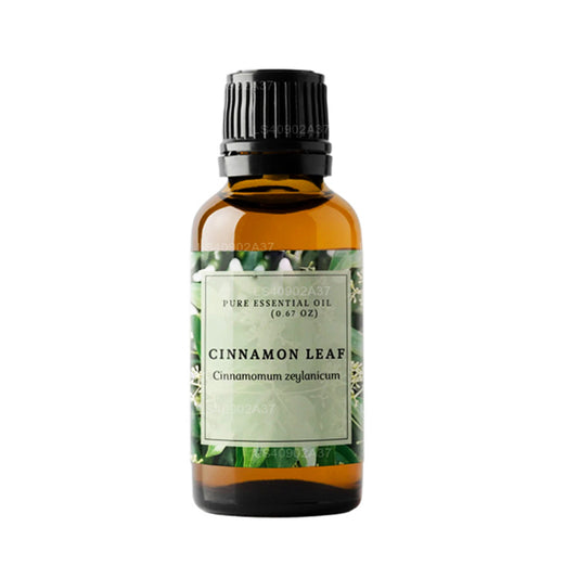 Olejek eteryczny z liści cynamonu Lakpura (15ml)