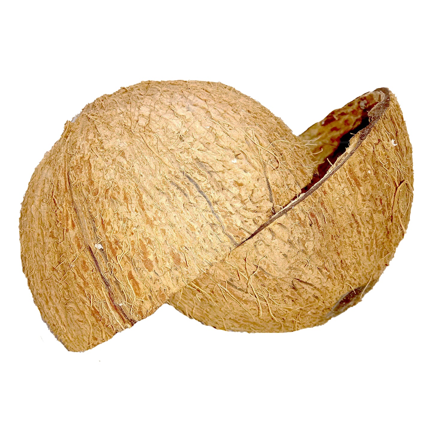 Połówki łupin kokosowych (2 szt.)