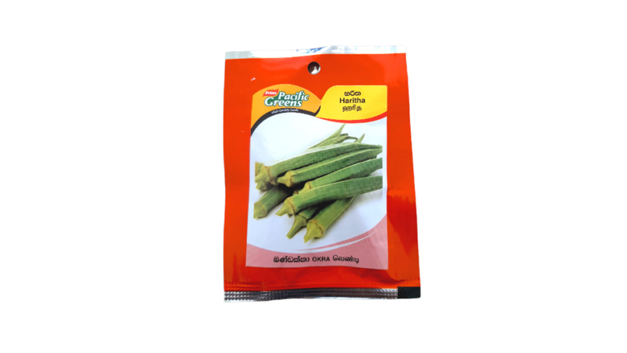 Green Ladies Fingers|Okra  (හරිත බණ්ඩක්කා) Vegetable Seeds