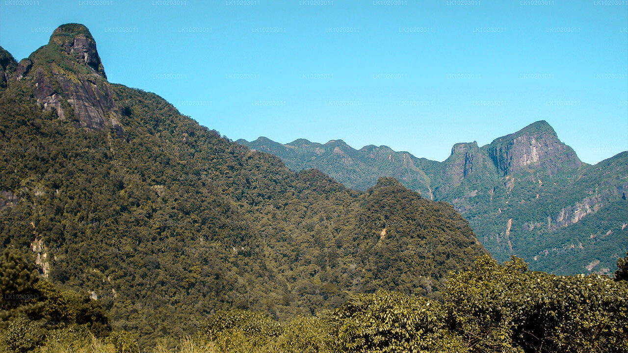 Nuwara Eliya z Kolombo (2 dni)