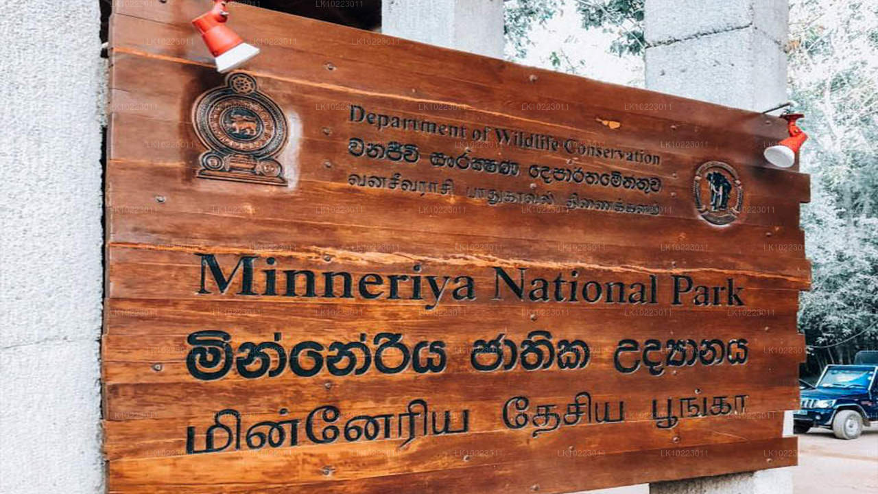 Sigirya i Minneriya z Negombo (2 dni)