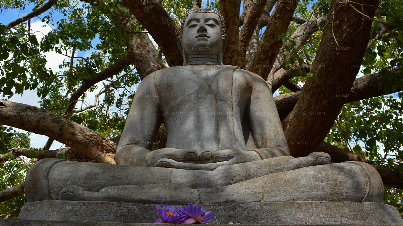 Święte miasto Anuradhapura z Kolombo (3 dni)
