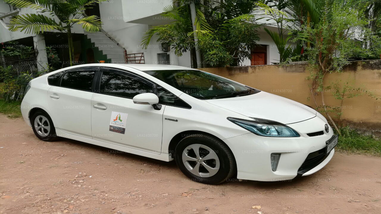 Kandy City to Yala City Private Transfer