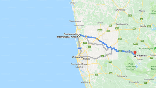 Transfer between Colombo Airport (CMB) and Pine Forest Inn Holiday Bungalow, Watawala