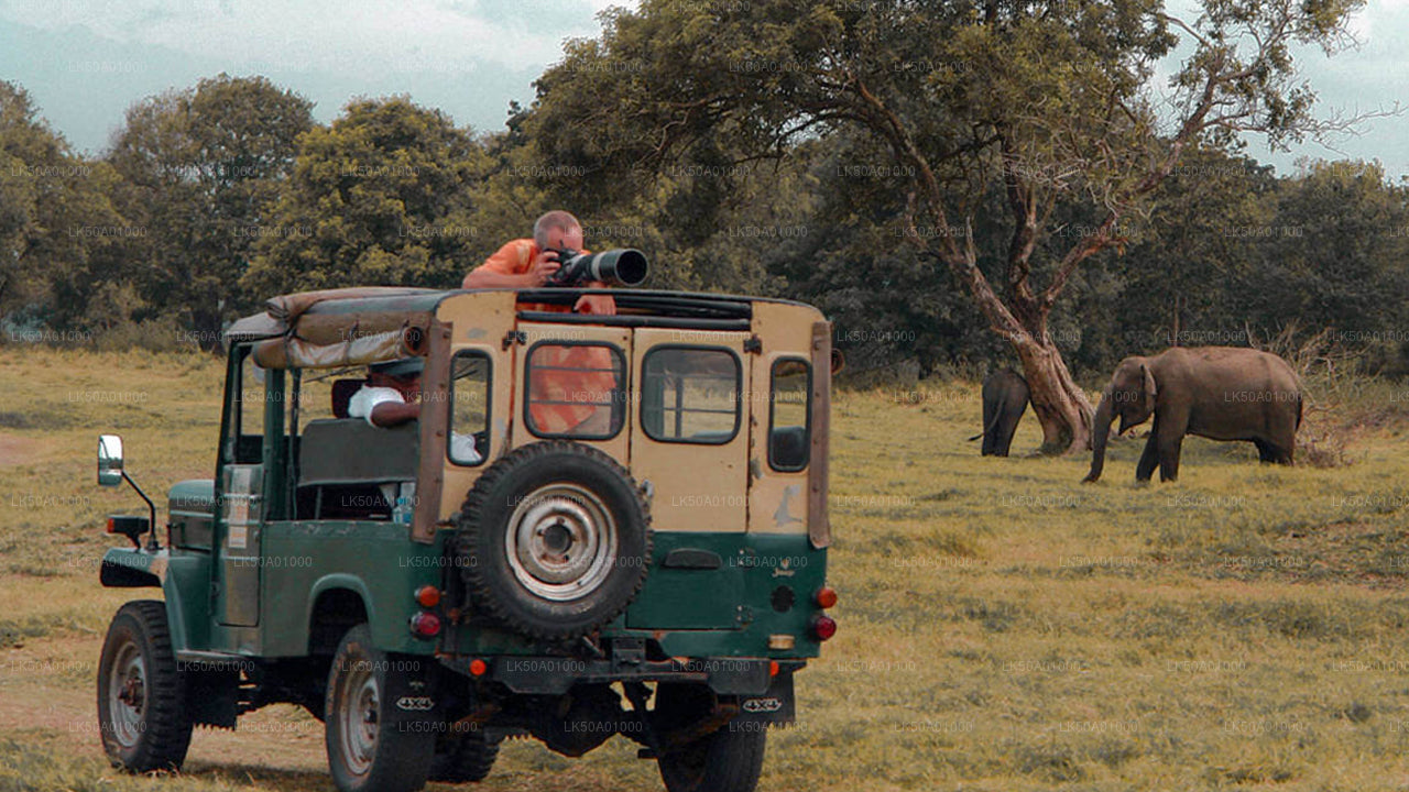 Prywatne safari w Parku Narodowym Udawalawe