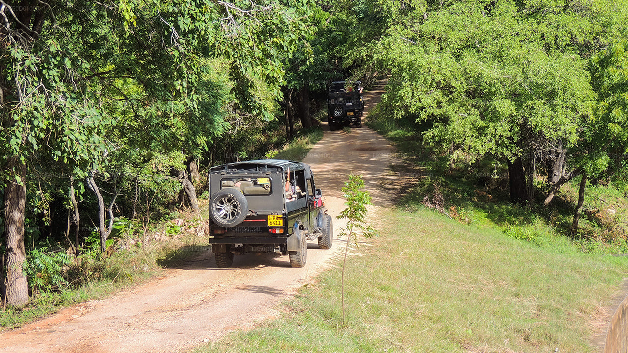 Prywatne safari w Parku Narodowym Kaudulla