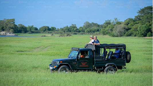 Prywatne safari w Parku Narodowym Wilpattu
