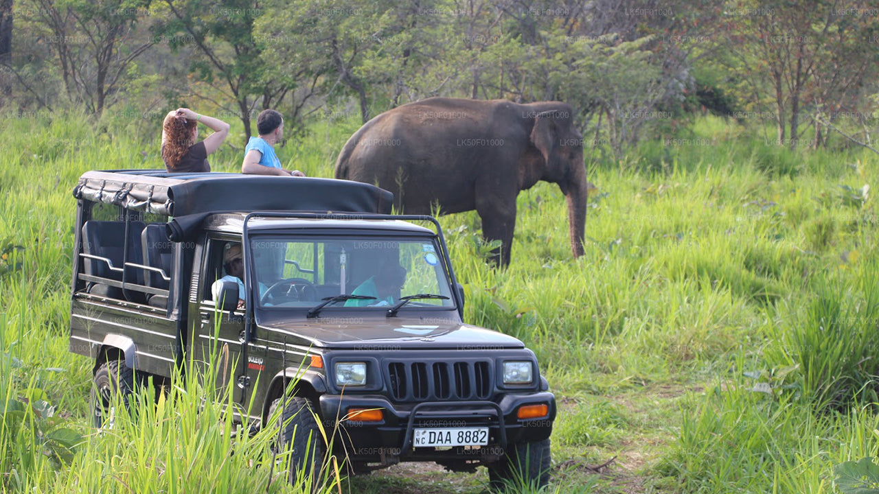 Prywatne safari w Parku Narodowym Wilpattu