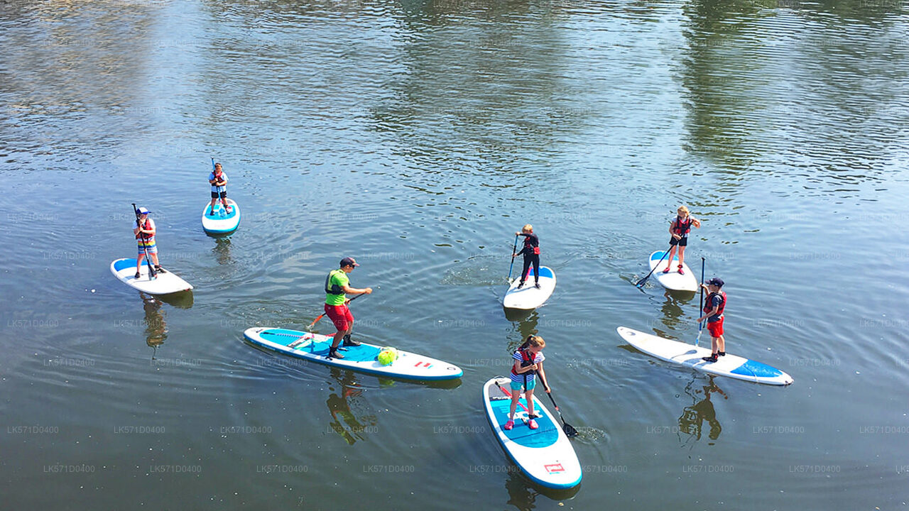 Paddle Boarding from Kitulgala