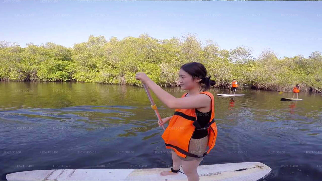 Paddle Boarding from Kitulgala