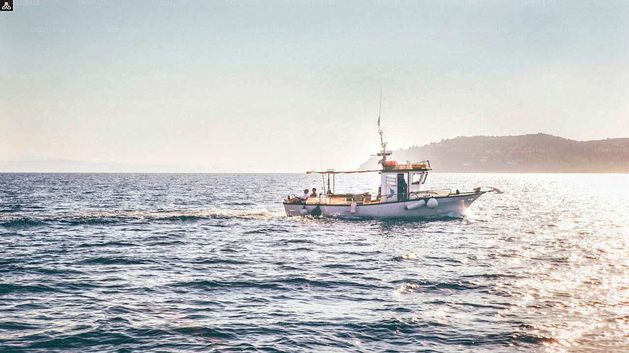 Wycieczka łodzią rybacką głębinową z Hikkaduwa