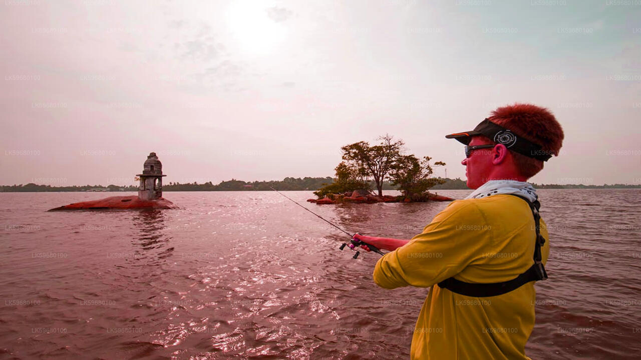 Freshwater Fishing from Bolgoda Lake