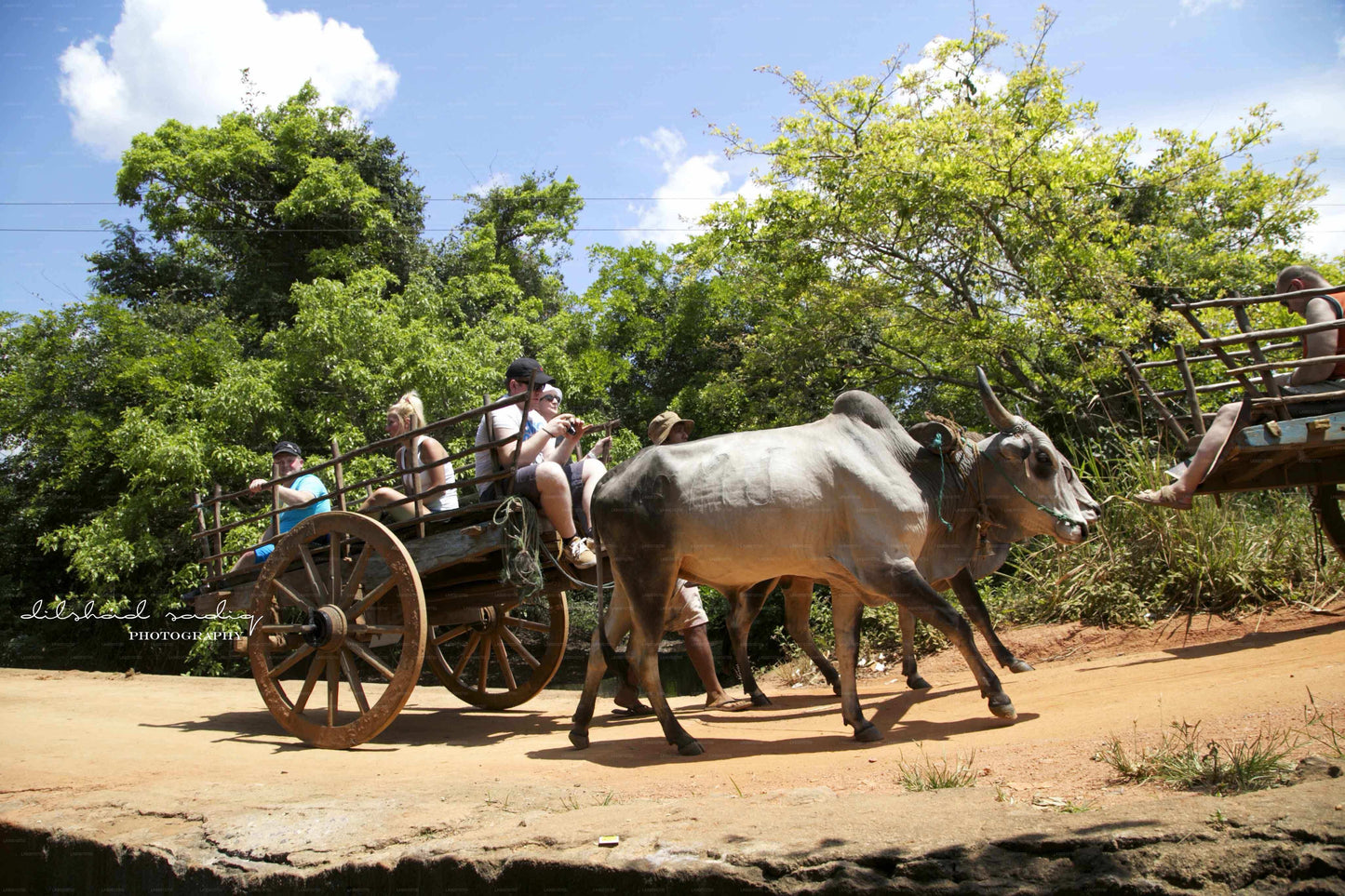Sigiriya Rock and Village Tour z Kolombo