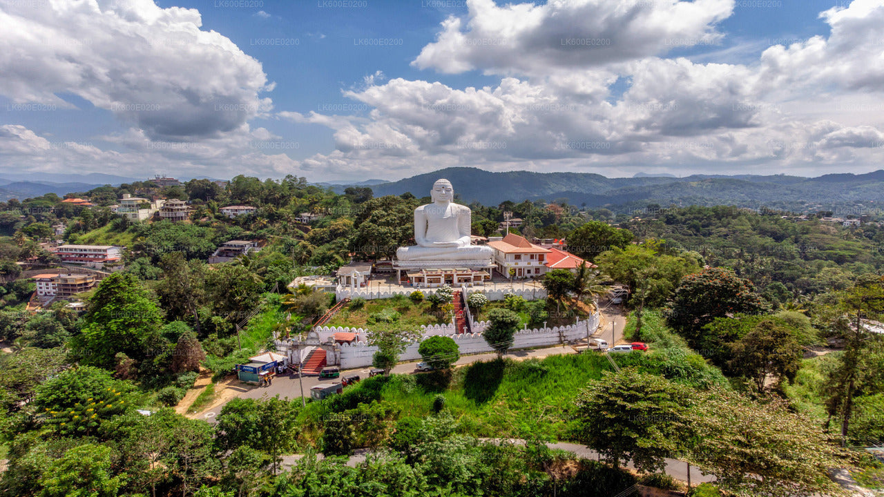 Kandy City Tour from Beruwala